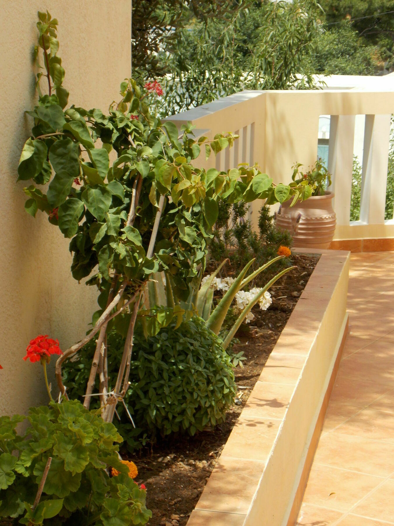 Myrties Boutique Apartments Maszúri Kültér fotó